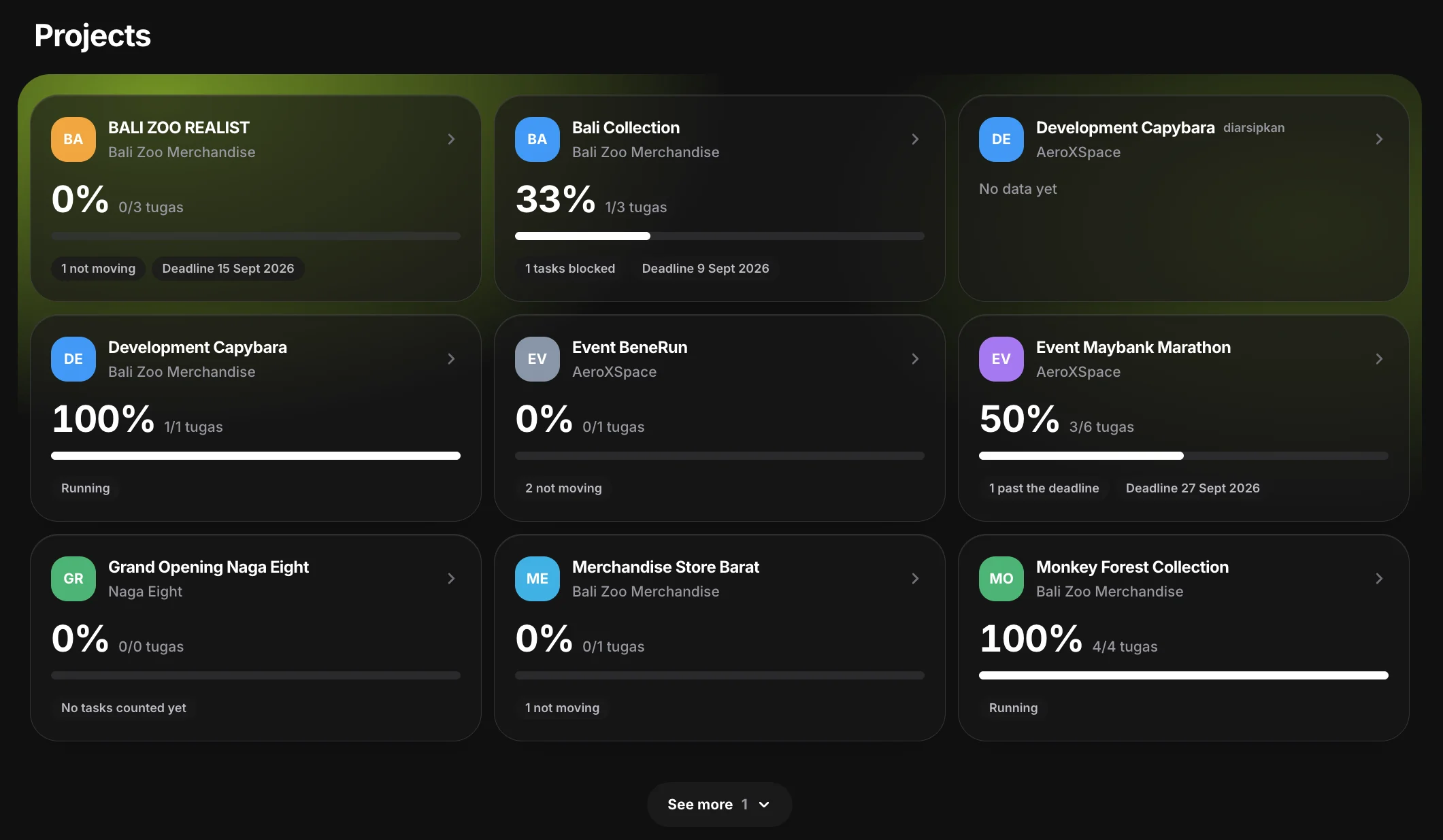 The projects dashboard — every project as a card with its company, completion percentage, deadline and warnings such as blocked or not moving
