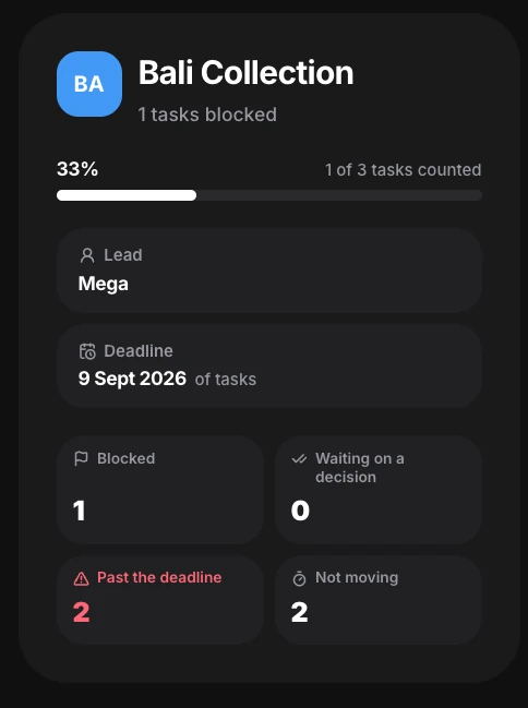 A project health panel counting blocked tasks, tasks waiting on a decision, tasks past the deadline and tasks not moving